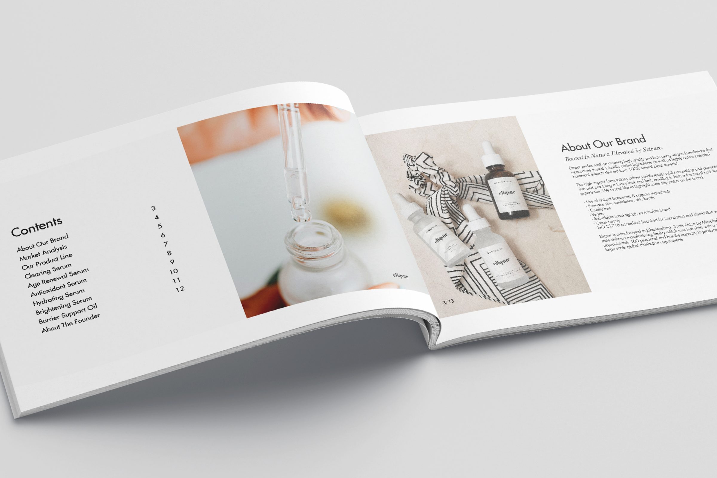 Pitch deck planning for the Eliqsur distributor materials